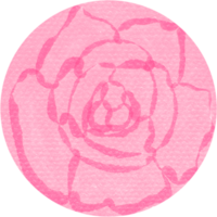 Rosenblüten-Aquarell png