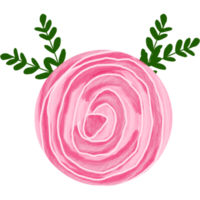 aquarelle fleur rose png