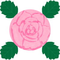 aquarela de flor rosa png