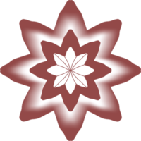 étoile avec fleur png