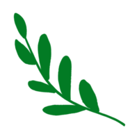 diseño de icono de hoja png