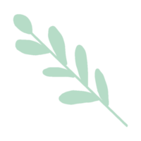 diseño de icono de hoja png