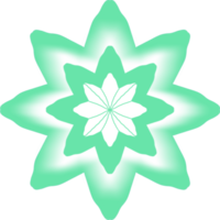 étoile avec fleur png