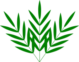 leaf icon design png