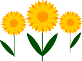 sunflower icon design png