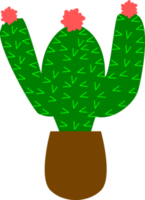 cactus in een pot png