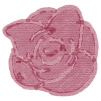 rose watercolor design png