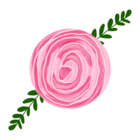 acquerello di fiori di rosa png