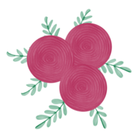 aquarelle fleur rose png