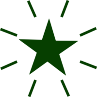 Stern-Icon-Design png