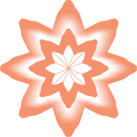 étoile avec fleur png