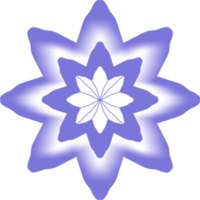 étoile avec fleur png