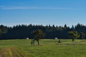 Forest and meadows view from Saarland on a sunny day. photo