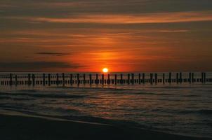 puesta de sol en zingst en el mar. el sol rojo anaranjado se pone en el horizonte. círculo de gaviotas en el cielo foto