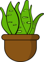 isoliertes design der pflanze in einem topf büropflanzenillustration png