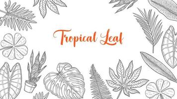 colección de hojas tropicales con boceto dibujado a mano para póster de plantilla de banner de fondo vector