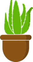 isolated design of plant in a pot office plant ilustration png