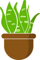 desenho isolado de planta em um pote ilustração de planta de escritório png