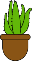 isolated design of plant in a pot office plant ilustration png