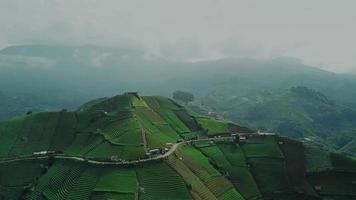 prachtige luchtfoto van de natuur op de heuvel van landbouwtoerisme, terasssering panyaweuyan, in majalengka, west-java-indonesië