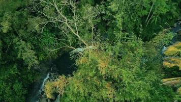 prachtige luchtfoto van de rivier in tropisch woud, in bandung - indonesië video