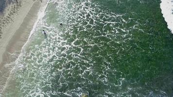 bela vista aérea das ondas na praia de pangandaran, java oeste - indonésia. video