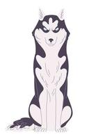 Adult husky dog sitting quietly in front view. vector