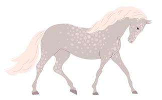 caballo gris claro con muchas manchas pequeñas vector