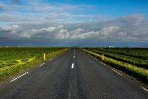 Picturesque landscape with green nature in Iceland during summer. Image with a very quiet and innocent nature. photo