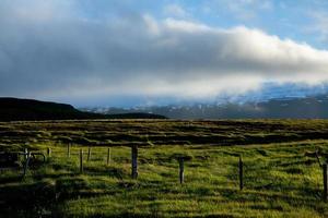 Picturesque landscape with green nature in Iceland during summer. Image with a very quiet and innocent nature. photo