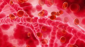 vidéo médicale avec des cellules sanguines sur un brin d'adn video