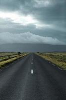 Picturesque landscape with green nature in Iceland during summer. Image with a very quiet and innocent nature. photo