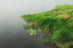 Concept background image on behalf of nature leaves grass photo