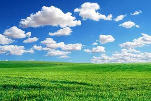 un gran prado en el fondo es el cielo. concepto de imagen de fondo de la naturaleza foto