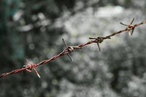 primer plano de una cerca de alambre de púas en un área restringida. foto