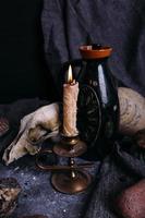Old dog skull, jug and stones on witch table. Enchanted drink with flower petals photo