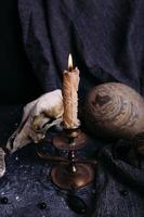 Old dog skull, burning candle, wooden runes and stones on the witch table. photo