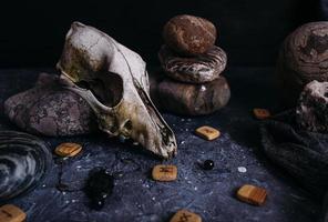 viejo cráneo de perro, runas de madera y piedras en la mesa de brujas. foto