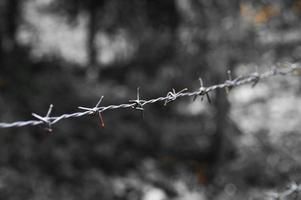 Close-up of a barbed wire fence in a restricted area. photo