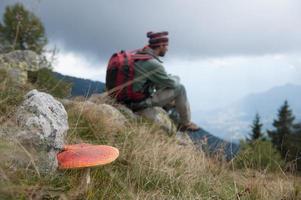 Poisonous mushrooms on theitalian alps photo
