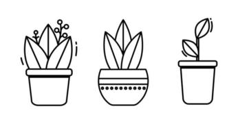 Simple plants with leaves in pots. Set of three black line icons on white background. Gardening, cozy home, interior details, naturalness vector