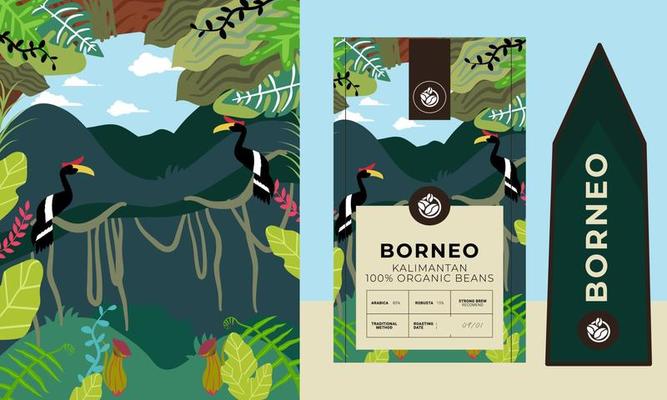 tropical rainforest with hornbill bird illustration suitable for coffee packaging design