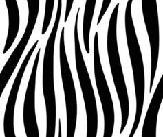 Zebra seamless pattern vector