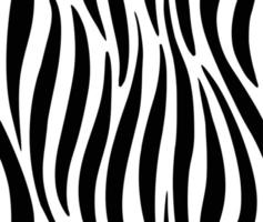 Zebra seamless pattern vector