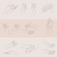 Hand clean beauty vector