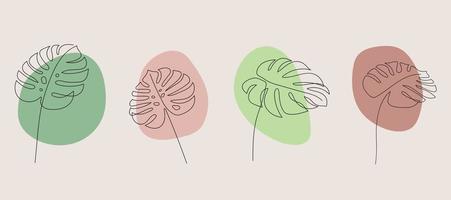 Monstera leafs and organic shape vector