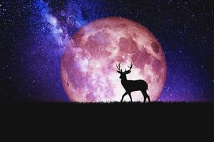 Night deer silhouette against the backdrop of a large moon element of the picture is decorated by NASA photo