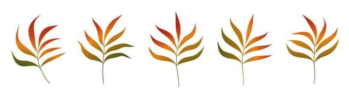 Set of Gradient Leaves Branch Floral Design Element vector