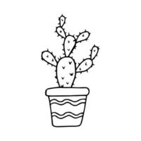 Hand drawn doodle cactus. Vector succulent in pot. Houseplant. Outline.