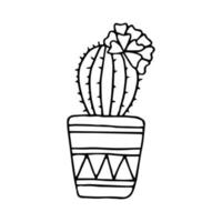 Hand drawn doodle cactus. Vector succulent in pot. Houseplant. Outline.